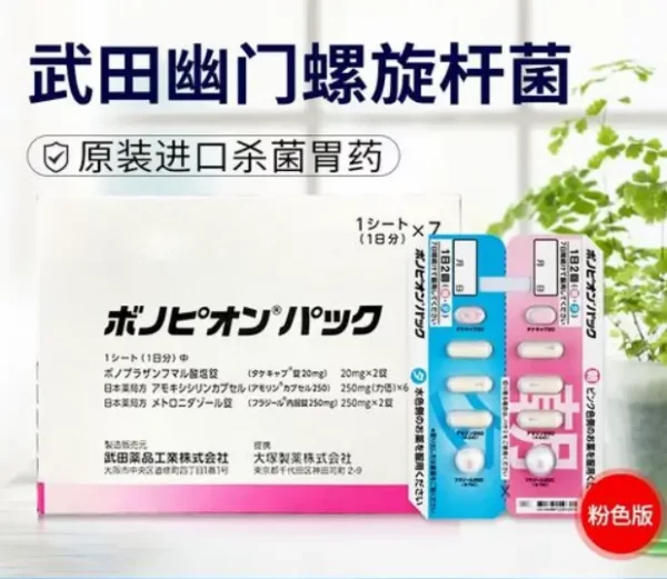 日本幽门粉色