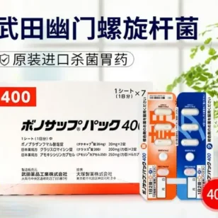 日本幽门橘色400